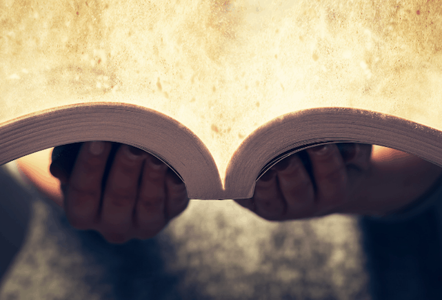 best book light 2019