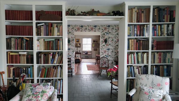 Building A Library from Scratch: New Beginnings