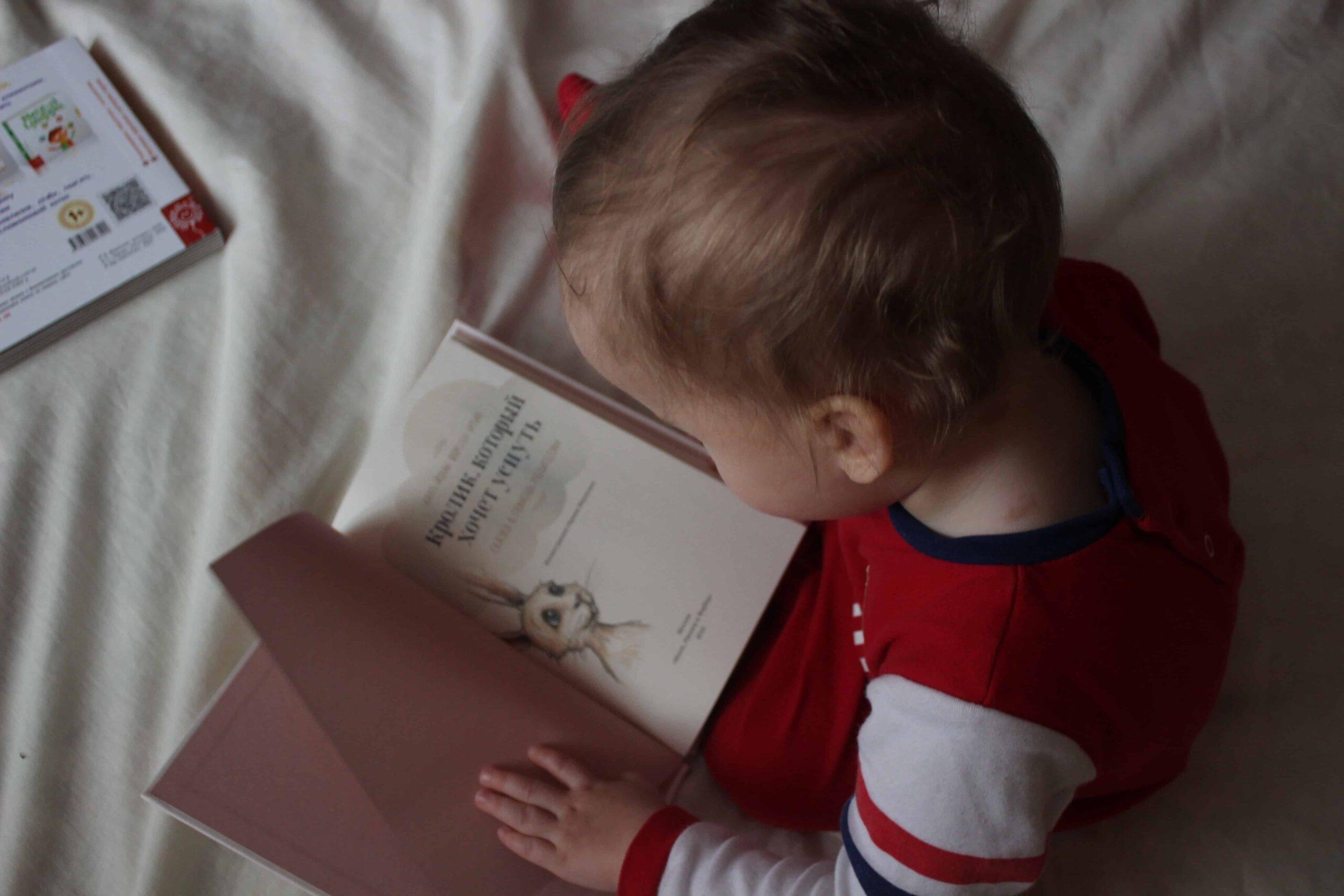 Types of Books You Should Read to your Young Children