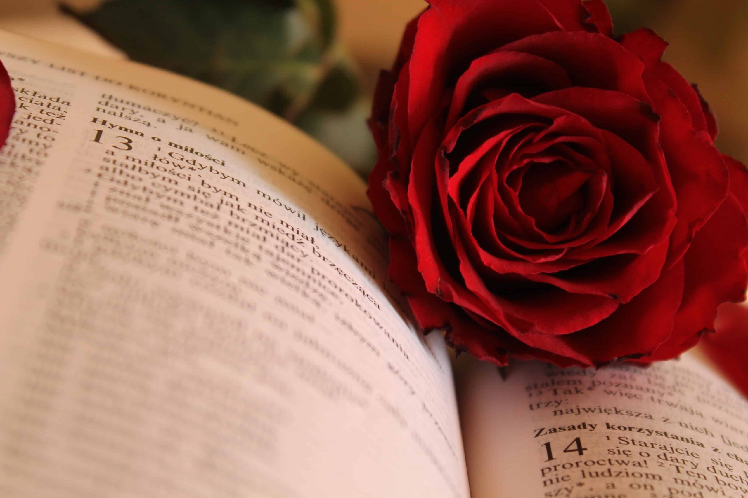 15 Best Poetry Books of All Time