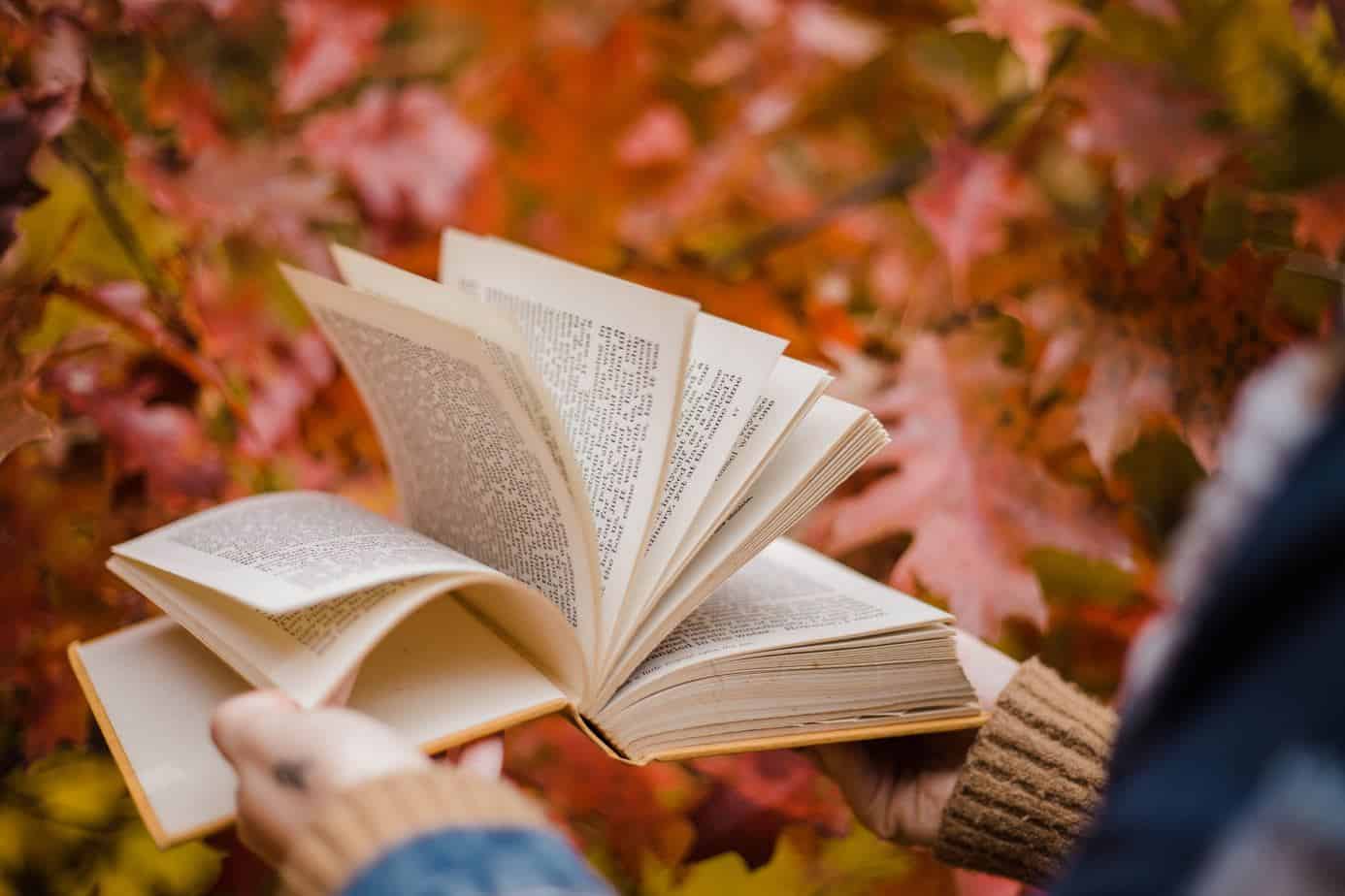 How To Write A Book Review