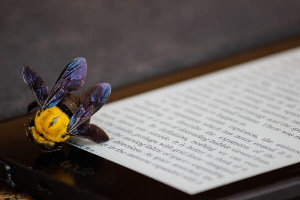How to Use the Kindle Paperwhite