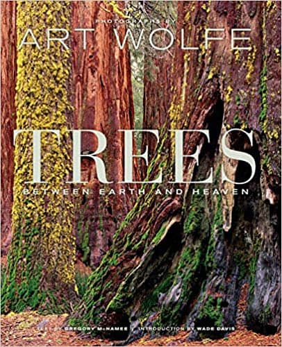 5 Best Books For Your Coffee Table in 2020